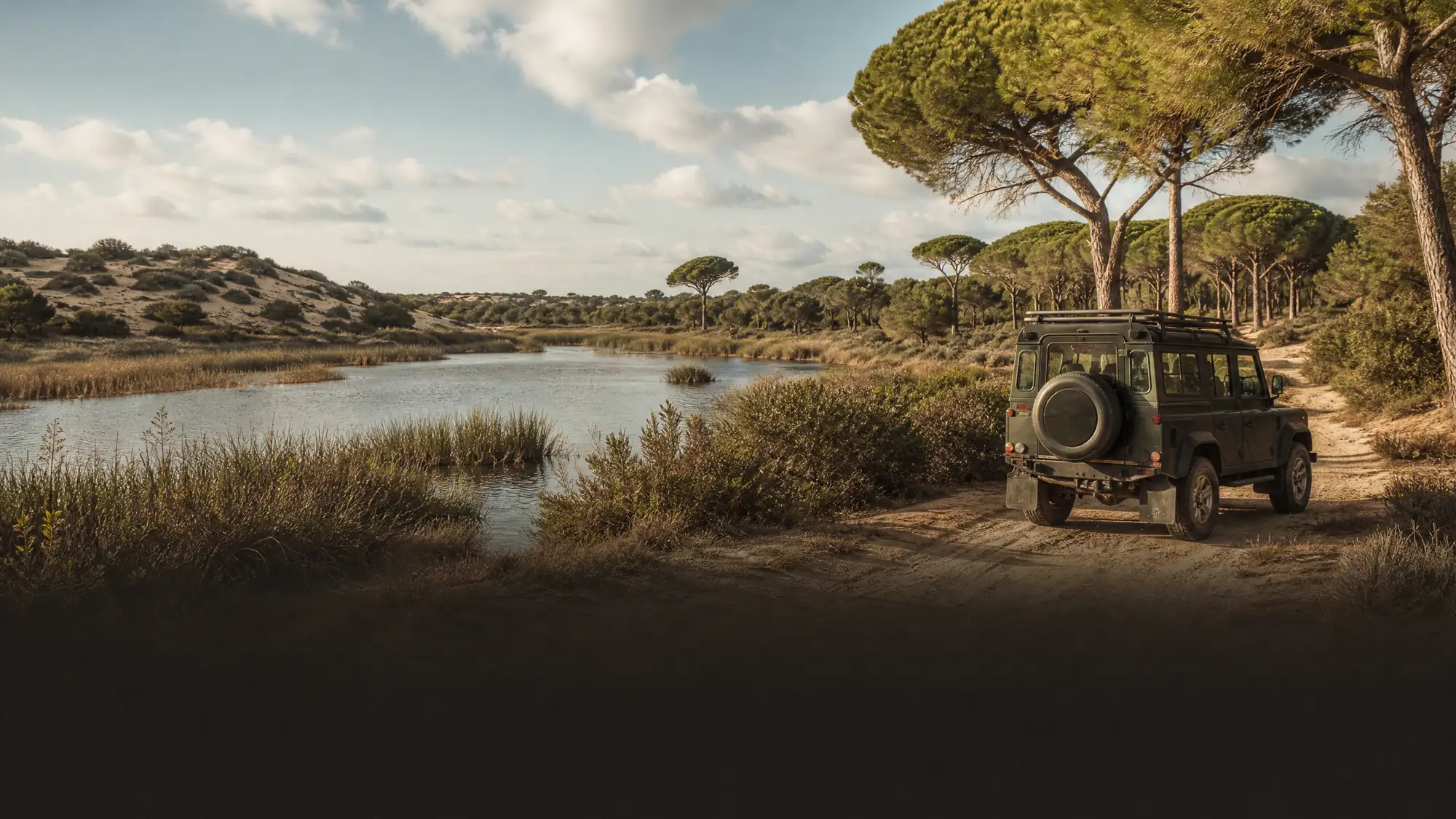 Erkunden Sie Europas bedeutende Feuchtgebiete auf einem 10-stündigen geführten Tagesausflug. Autorisierte 4x4-Touren ab Sevilla ermöglichen den Zugang zu geschützten Naturschutzzonen.