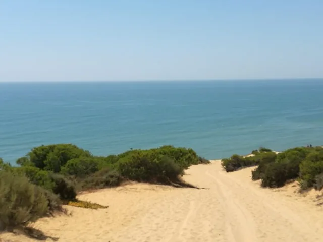 View of a sandy path leading down to the sea