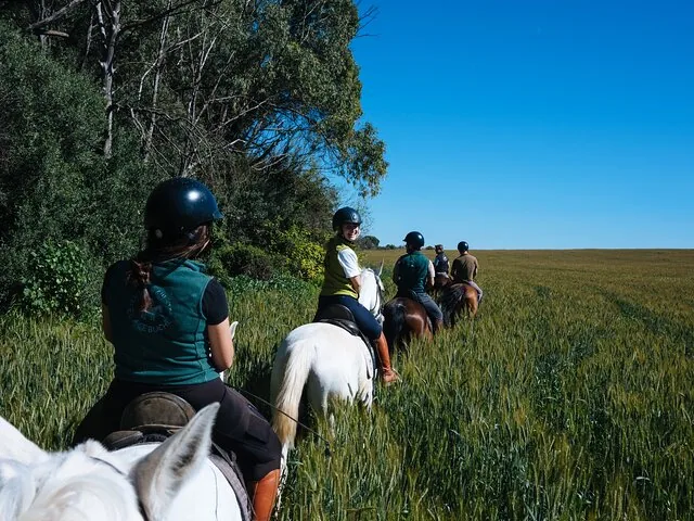 Gruppe von Reitern, die ein weites grünes Feld durchqueren